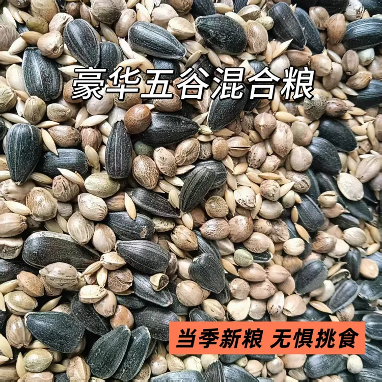 鹦鹉鸟粮食虎皮牡丹小太阳和尚金太阳凯克五合一混合粮高端鸟食