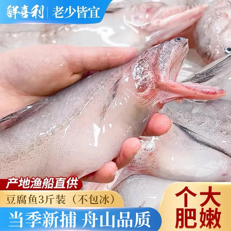 舟山特产龙头鱼豆腐鱼船冻海鲜鲜冻新鲜舟山九肚鱼水潺3斤装
