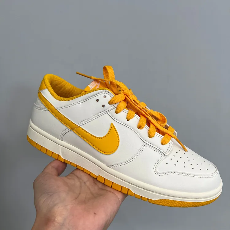 NIKE耐克男子NIKE DUNK LOW RETRO流光风休闲鞋HF5441-114