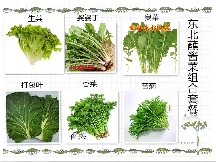 东北新鲜现采现摘蘸酱菜组合白菜叶东北蘸酱菜嫩芽