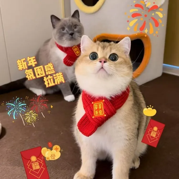 猫咪狗狗围脖新年宠物配饰装饰围巾红色可爱毛线保暖针织小狗喜庆