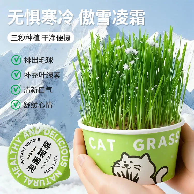 猫草排毛化毛去毛球懒人泡面猫草盆栽水培拌主粮猫猫宠物食品零食