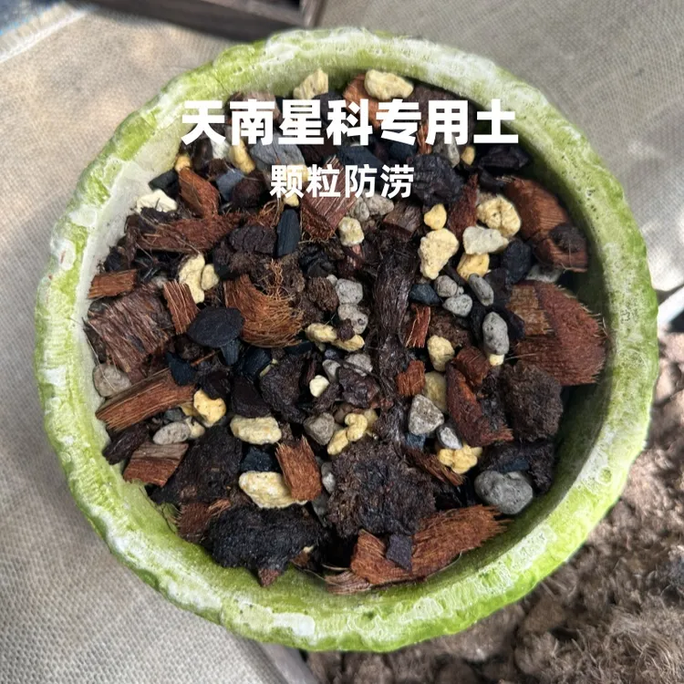 【苏苏专属】云梦花园 天南星科土 蔓绿绒海芋热植热带植物土粗颗粒有机种植土
