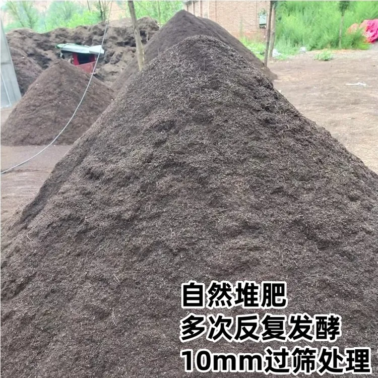 太行山腐熟松针土蓝莓君子兰专用营养土花卉绿植育苗扦插基质土壤