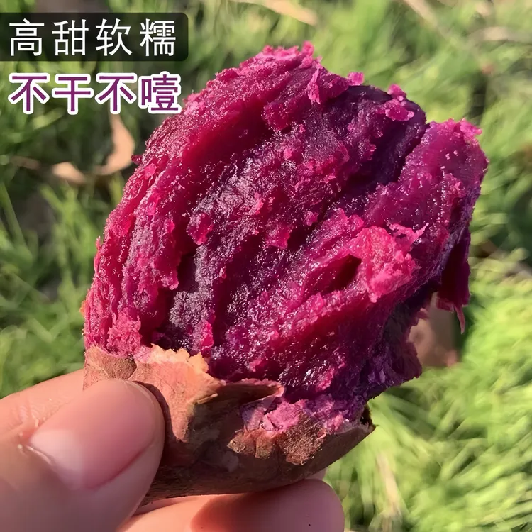 高山黑美人糖心紫薯沙地紫薯番薯红薯新鲜甜糯无丝健康地瓜山芋