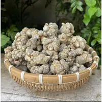 农家三七个 云南文山特产