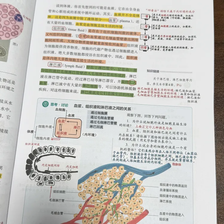 2026版高中生物教材笔记【选择性必修一】胶装版