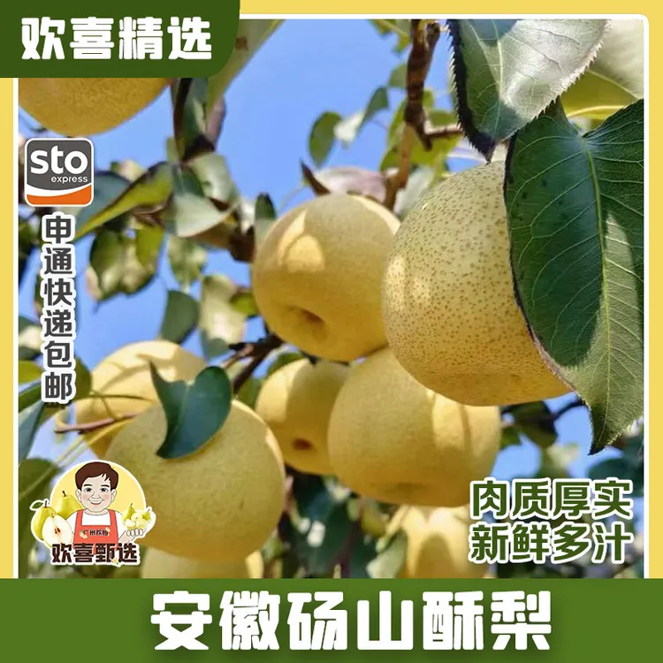 安徽砀山良梨镇，砀山酥梨核心产区发货（其它地区拍这个链接）