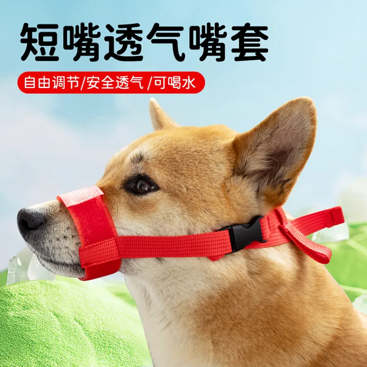 【宠大条】狗嘴套透气嘴罩防咬叫乱吃短嘴狗止吠器小狗泰迪嘴套