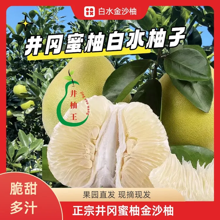 井冈蜜柚桃溪柚江西特产金兰柚清甜多汁生态原产地白水金沙柚