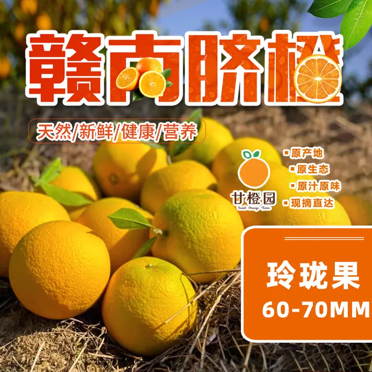 玲珑果赣南脐橙正宗赣南脐橙带箱甘橙园应季水果新鲜赣南特色新鲜
