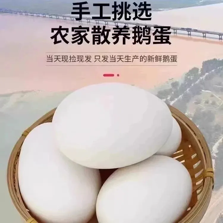 【农场直发】农家土鹅蛋12枚100-120g现捡现发新鲜农家整箱包邮发货