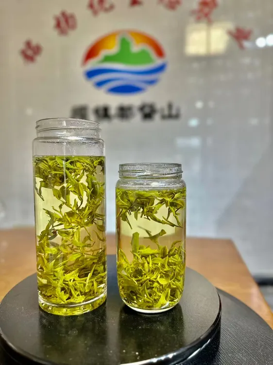 坝镇茶叶 口粮茶毛峰 25年新茶安徽土种原产地浓香绿茶高山茶春茶
