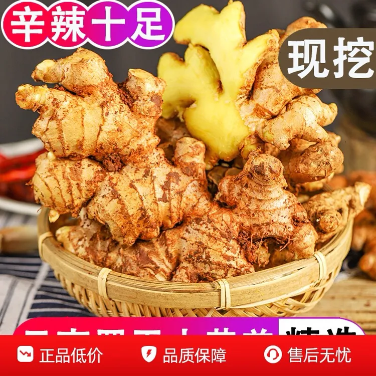 正宗云南小黄姜现挖老姜姜味浓郁月子适用