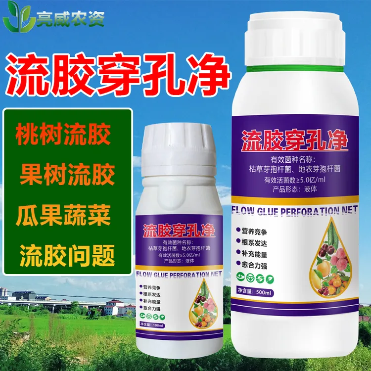 亮威流胶净果树桃树苹果树樱桃流胶瓜果使用微生物菌剂