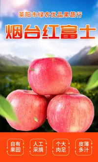 【带箱十斤】烟台苹果红富士富士栖霞苹果产地直发带箱