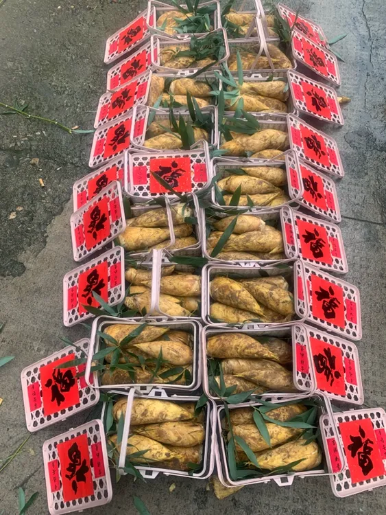 鲜嫩竹笋笋尖新鲜竹冬笋黄金笋新鲜浙江绍兴冬笋冬笋浙江