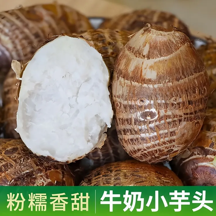 云南高山新鲜牛奶小芋头香芋软糯香甜口感细腻云南高山牛奶芋头