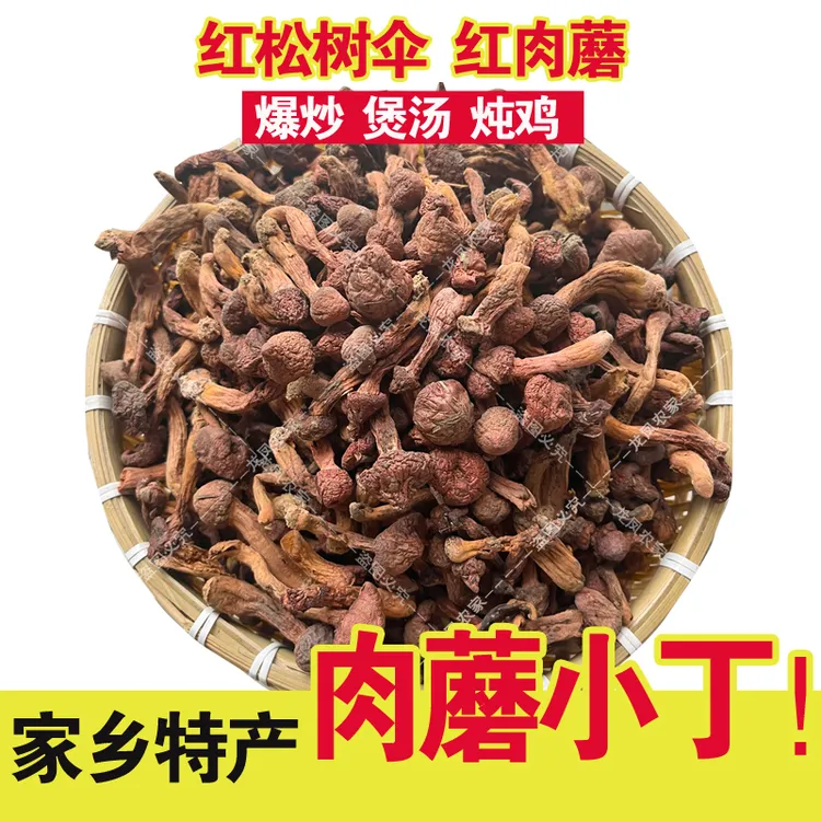 肉蘑丁野生肉蘑红蘑松树伞蘑菇野生菌干货承德特产肉蘑小个蘑菇钉