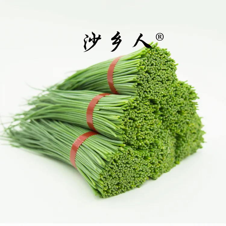 5斤装新鲜沙葱蔬菜包邮餐饮专供链接甘肃发货
