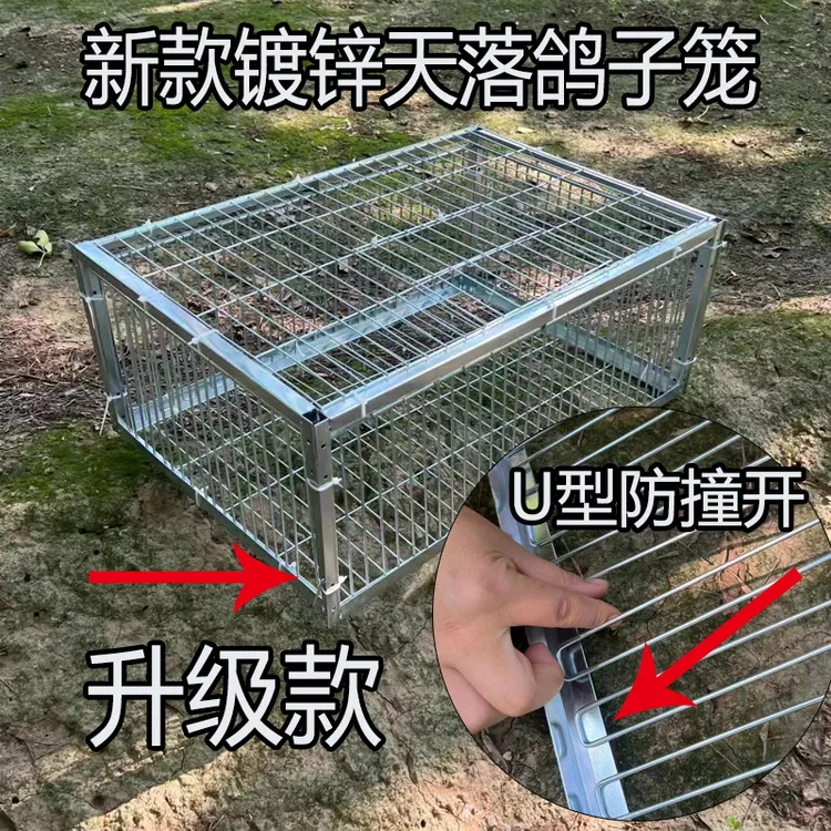 新款鸽笼U型加厚加密2厘米天落笼家用养殖回收笼活络门撞门笼
