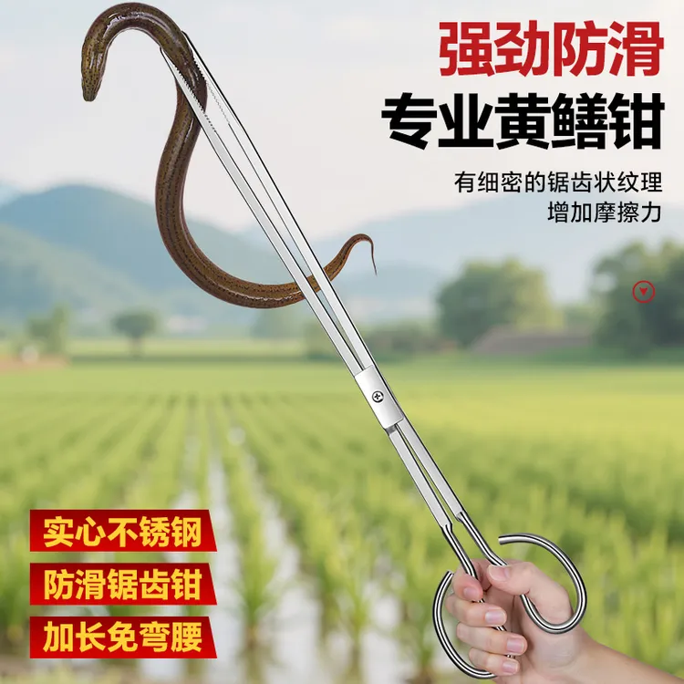 黄鳝夹子鳝鱼夹抓螃蟹神器泥鳅钳子防滑工具长鱼捕捉器专业