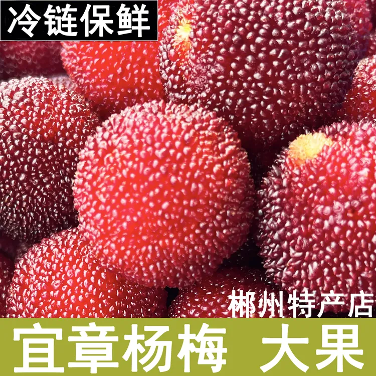 顺丰空运宜章杨梅东魁湖南郴州新鲜水果漳州乌梅整箱礼盒特大鲜果