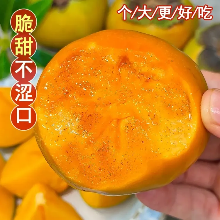 山西阳丰冰糖心巧克力脆柿清甜可口脆甜不涩新鲜水果