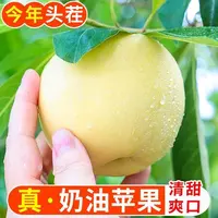 山东奶油富士苹果4.5斤应季水果现摘现发xm