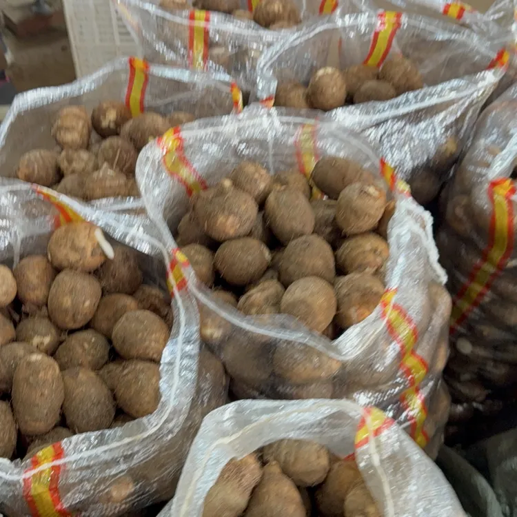 新鲜现挖山东莱阳牛奶芋头软糯粉面香