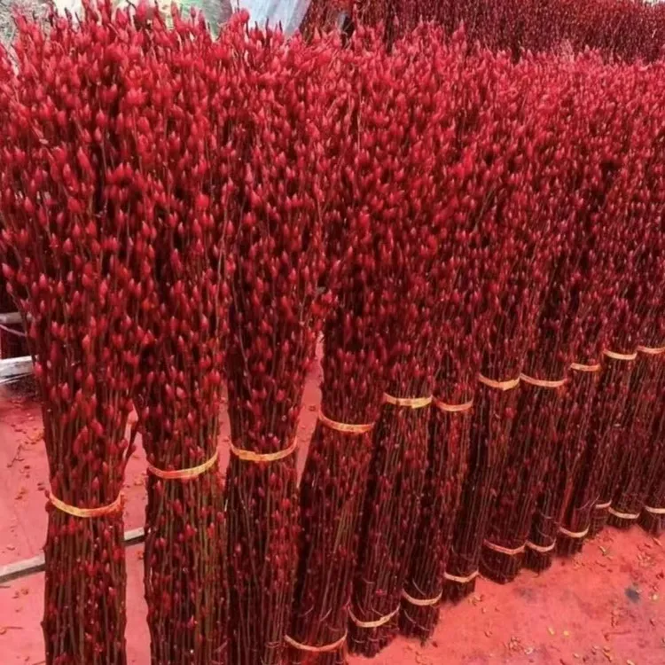 【80厘米】喜庆招财干花真花鲜枝红色银柳年宵花装饰过年客厅摆放花