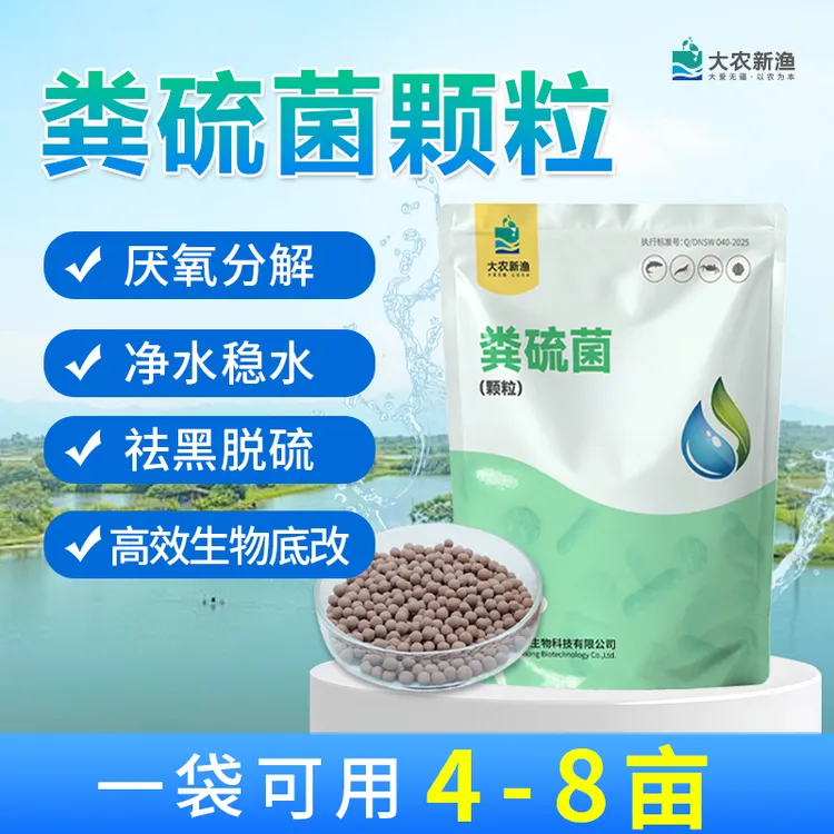 【大农】粪硫菌颗粒鱼虾水产养殖专用鱼虾塘降解硫化物生物净化水质