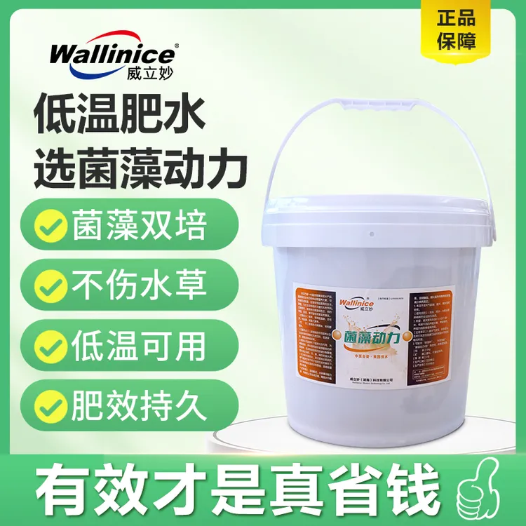 菌藻动力桶装批发水产养殖有益鱼虾蟹塘肥水调水改水复合小球藻种