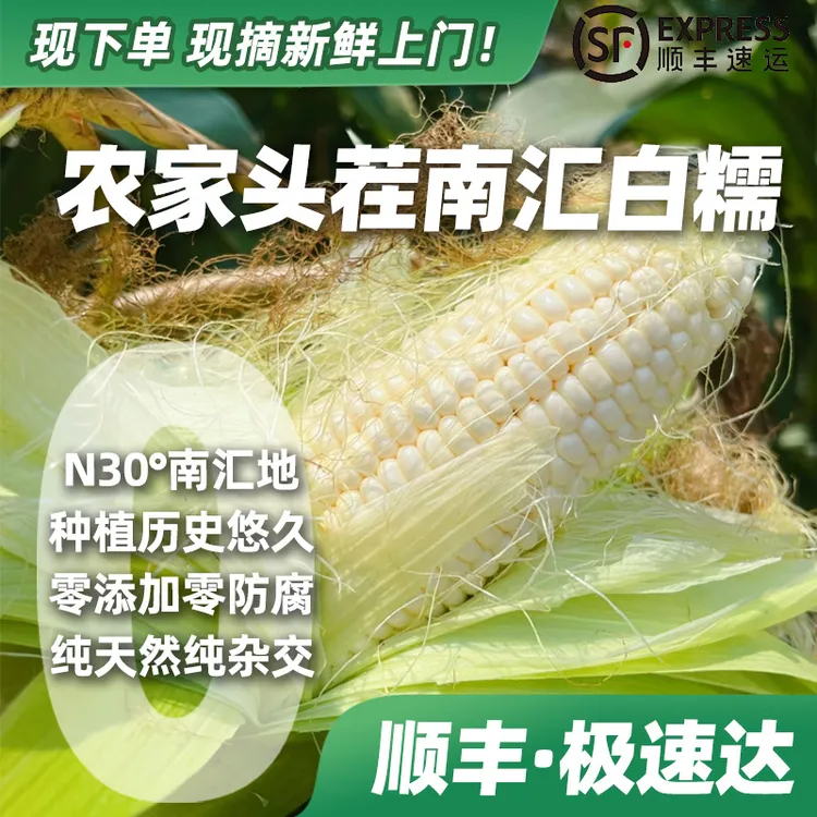 【下单·顺丰速鲜】南汇头茬本地新鲜带壳白糯玉米直播带货1万➕好评