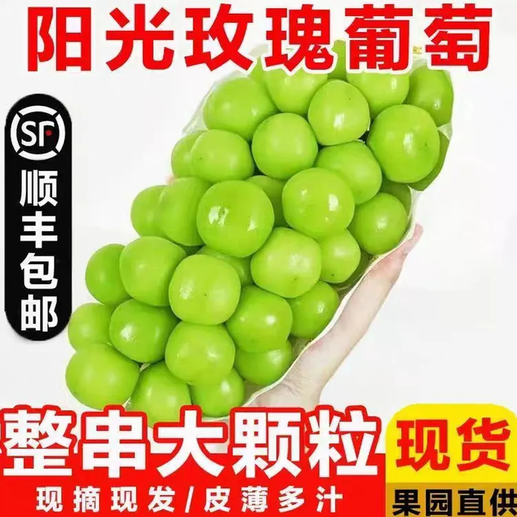 正宗阳光玫瑰葡萄新鲜应季无籽脆甜多汁带玫瑰香水果