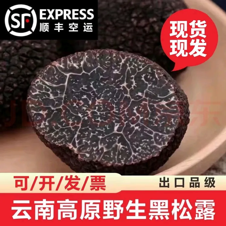 【中秋节伴手礼佳品】云南当天采收新鲜精品松露（可开发票顺丰空运）