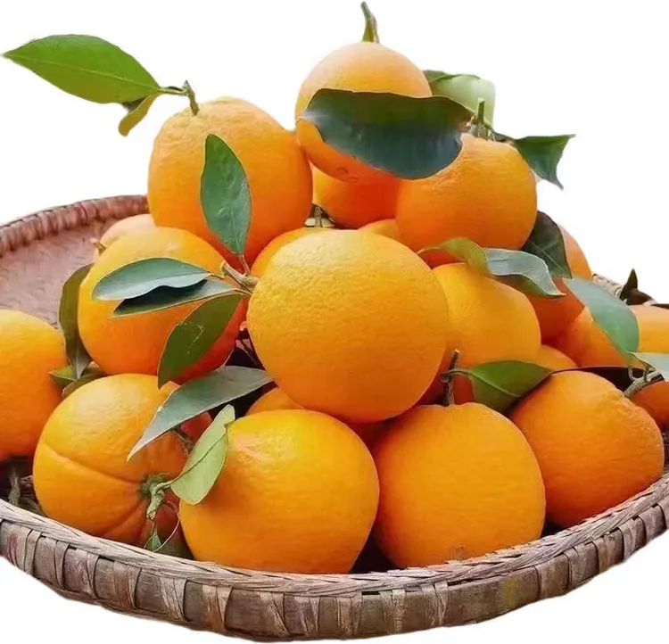 赣州直发正宗赣南脐橙应季新鲜橙子产地直发