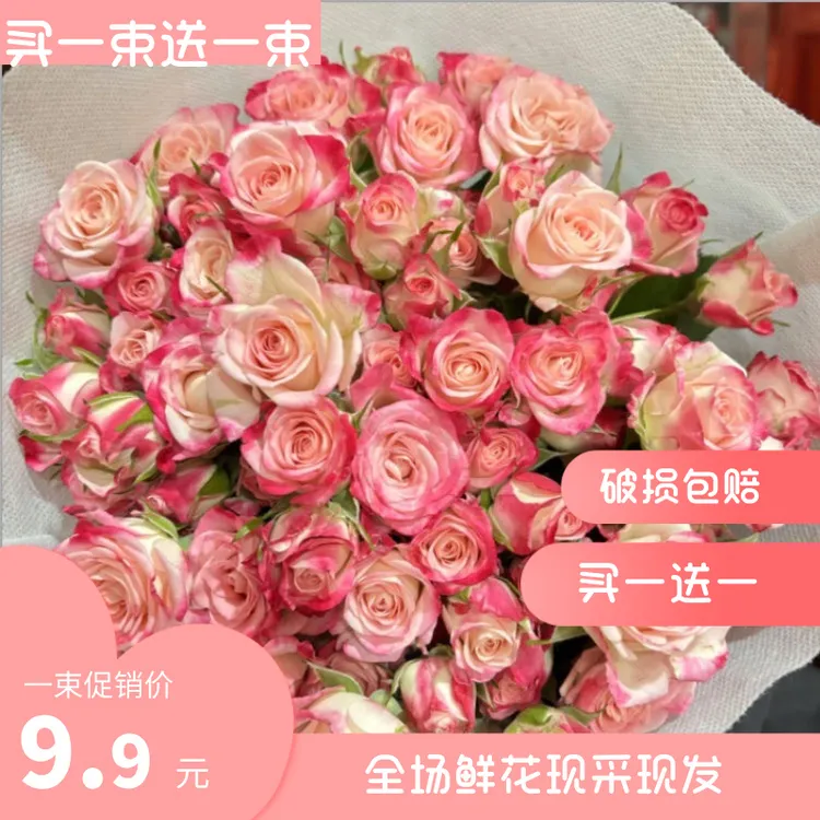 碎冰蓝多头玫瑰新鲜鲜花水养花束客厅装饰云南昆明鲜花鲜花花束