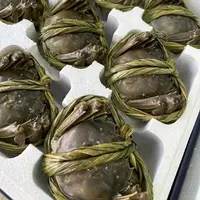 【活蟹】江苏大闸蟹4两母5只/4.5两公4只 （礼盒包装）