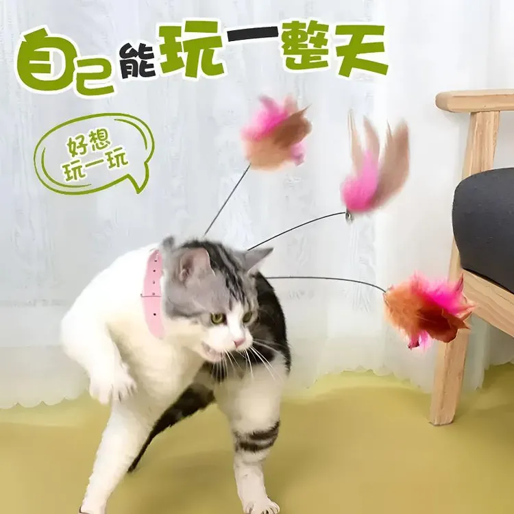 猫咪自嗨互动项圈逗猫棒解闷耐咬成幼猫多功能通用可调节羽毛玩具商品图