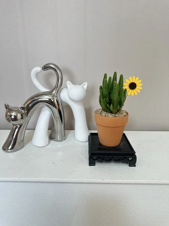 万重山仙人掌室内绿植盆栽