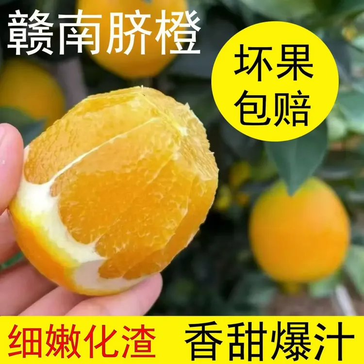 正宗赣南脐橙产地直发新鲜现摘脐橙香甜多汁水果现摘现发坏果包赔