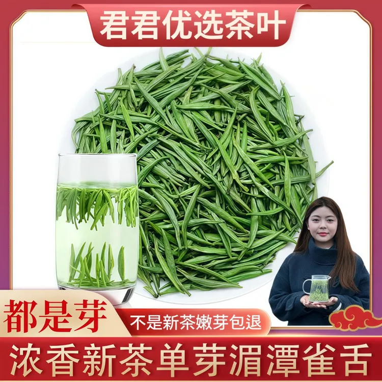 特级正宗雀舌浓香型茶叶2025新茶雀舌特级绿茶叶春芽酒店商用送人