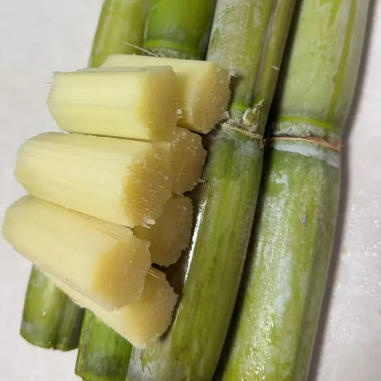 湖北荆州青皮甘蔗老品种绿皮新鲜现挖现发口感脆甜多汁