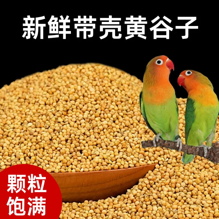 鹦鹉鸟粮饲料鸟食玄凤牡丹食物虎皮大罐新黄谷子带壳小米