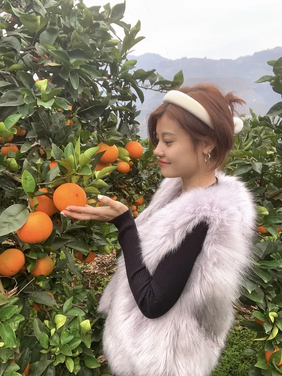 正宗奉节脐橙产地直采直发新鲜多汁10斤大果