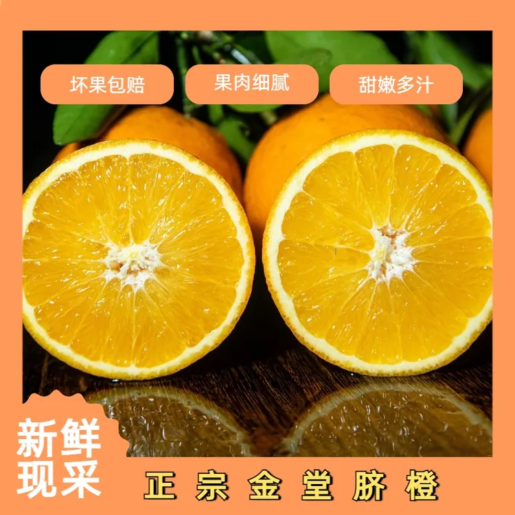 正宗金堂脐橙新鲜采摘
