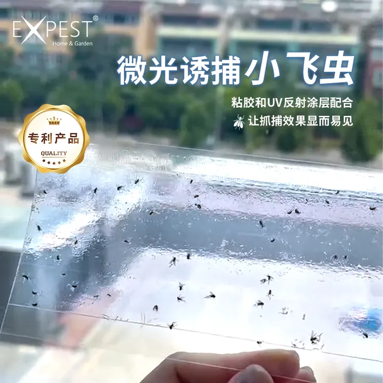 抓小飞虫EXPEST微光窗贴粘飞虫飞蛾诱捕器贴窗户家用捕捉飞虫苍蝇