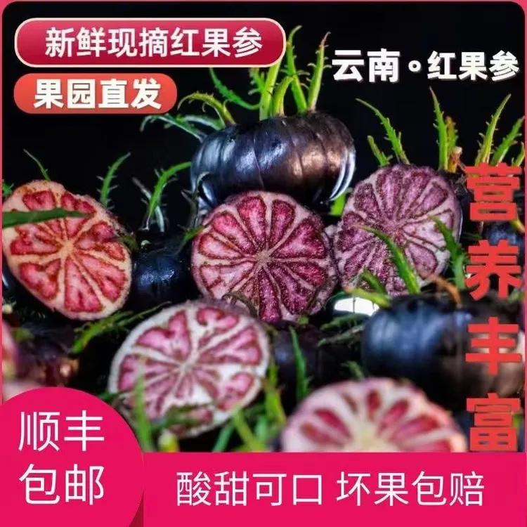 【顺丰彩箱发货】云南文山马关县稀有果实蜘蛛果红果参新鲜采摘发货