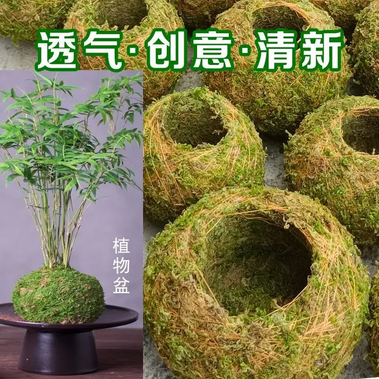纯手工创意苔藓球花盆用于蝴蝶兰用品石斛种植微景观家居保湿佛肚